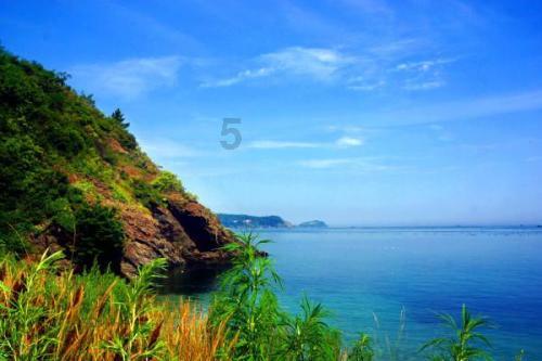 全民剧本大师内置菜单